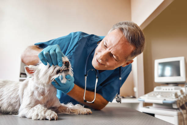 Best Emergency Treatment for Oral Infections in Clifton Springs, NY
